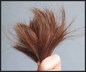 Split Ends - V1 Sep Split Ends - V1 Sep